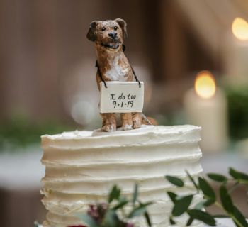 Dogs at Weddings: How Your Pet Can Be Part of Your Special Day