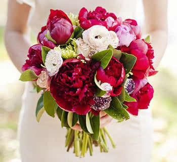 Perfect Peony Flowers for your Wedding Bouquet