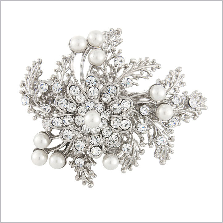 Collection of barrette hair clips